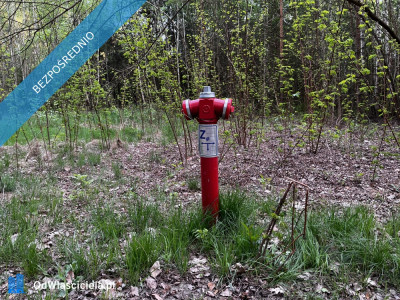 działki budowlane posiadają MPZP -    -
mazowieckie Zdjęcie nr 7