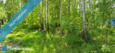 Działka Budowlana 990 m2 Prażmów Błonie -    - mazowieckie