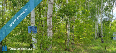 Działka Budowlana 1000 m Prażmów Błonie -    -
mazowieckie Zdjęcie nr 5
