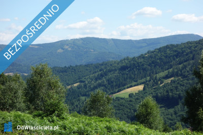 Brenna 253 ha działka inwestycyjna blisko wyciągu -    - śląskie