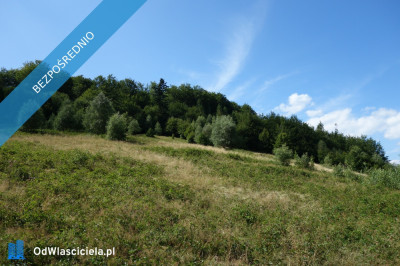 Brenna 253ha inwestycyjna pod pensjonaty domki letniskowe -    -
śląskie Zdjęcie nr 7