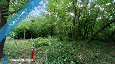 Wyjątkowa Działka Przy Parku w Uzdrowiskowym Konstancinie  Twój Własny Kawałek Zieleni -    - mazowieckie