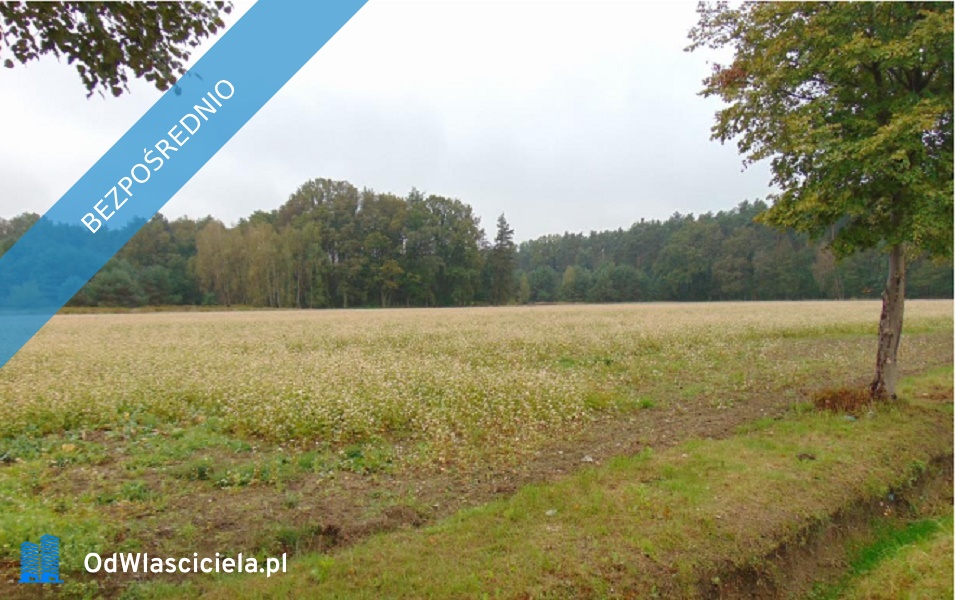 Syndyk sprzeda udział w działceŁubniany -    -
opolskie Zdjęcie nr 1
