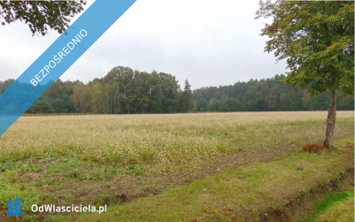 Syndyk sprzeda udział w działceŁubniany -    - opolskie