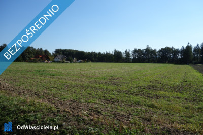 Skoczów Ochaby 32ha pod budownictwo i pod usługi -    -
śląskie Zdjęcie nr 5