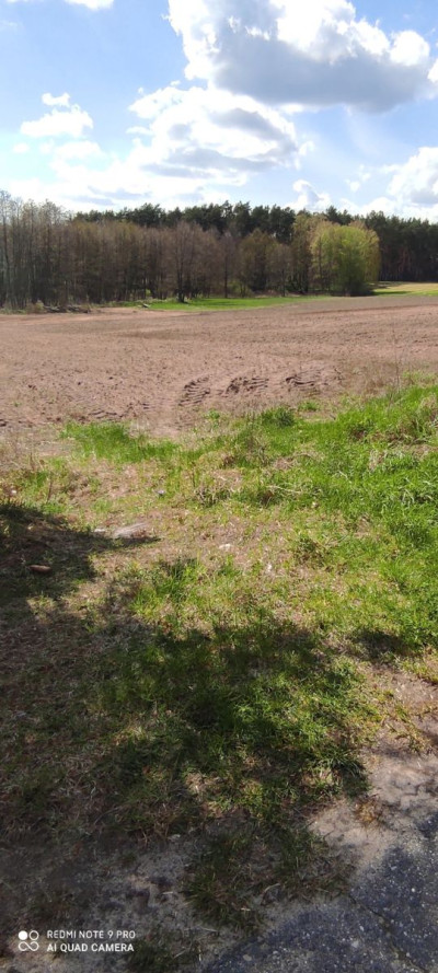 Na sprzedaż działka budowlana - Pszczew -
lubuskie Zdjęcie nr 4
