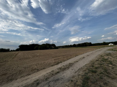 Na sprzedaż działka budowlana - Otusz -
wielkopolskie