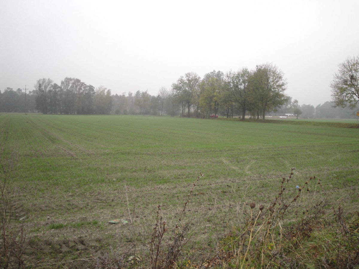 Na sprzedaż działka usługowa - Łęczyca -
wielkopolskie Zdjęcie nr 1