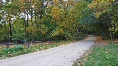 Na sprzedaż działka budowlana - Rybojedzko -
wielkopolskie Zdjęcie nr 5