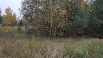 Na sprzedaż działka rolna - Sapowice -
wielkopolskie Zdjęcie nr 3