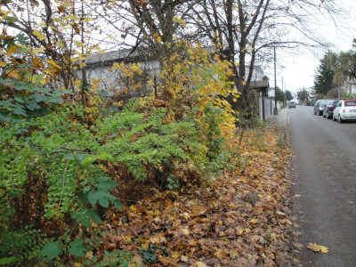 Na sprzedaż działka budowlana - Poznań -
wielkopolskie Zdjęcie nr 2