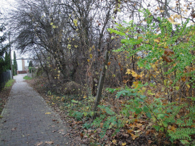 Na sprzedaż działka budowlana - Poznań -
wielkopolskie Zdjęcie nr 5