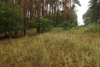 Na sprzedaż działka budowlana - Janikowo -
wielkopolskie Zdjęcie nr 10