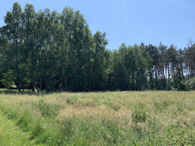 Na sprzedaż działka budowlana - Chojniki -
wielkopolskie Zdjęcie nr 10