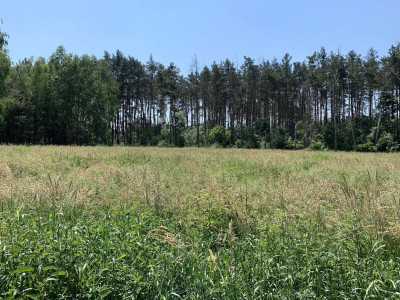 Na sprzedaż działka budowlana - Chojniki -
wielkopolskie Zdjęcie nr 11