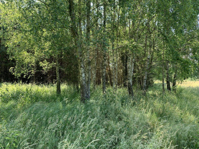 Na sprzedaż działka budowlana - Chojniki -
wielkopolskie Zdjęcie nr 12