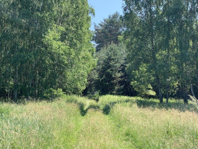 Na sprzedaż działka budowlana - Chojniki -
wielkopolskie Zdjęcie nr 3