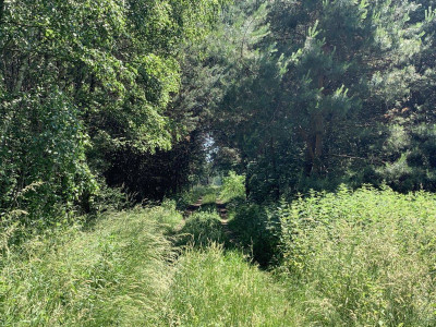 Na sprzedaż działka budowlana - Chojniki -
wielkopolskie Zdjęcie nr 4