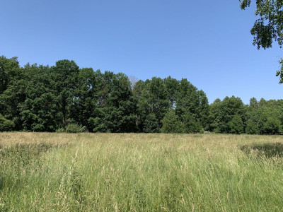 Na sprzedaż działka budowlana - Chojniki -
wielkopolskie Zdjęcie nr 7