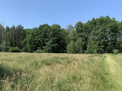 Na sprzedaż działka budowlana - Chojniki -
wielkopolskie Zdjęcie nr 8