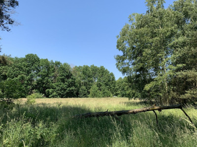 Na sprzedaż działka budowlana - Chojniki -
wielkopolskie Zdjęcie nr 9