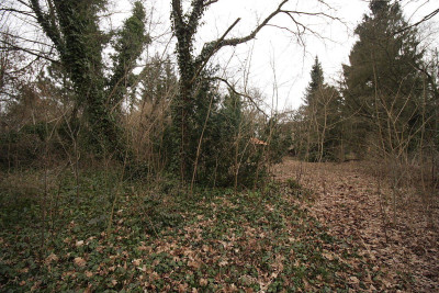 Na sprzedaż działka budowlana - Puszczykowo -
wielkopolskie Zdjęcie nr 4
