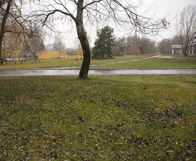 Na sprzedaż działka przemysłowa - Koziegłowy -
wielkopolskie Zdjęcie nr 3