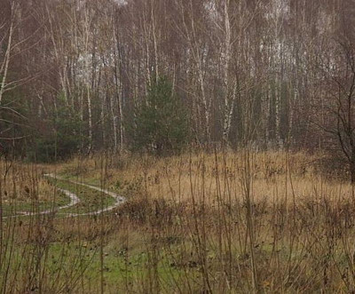 Na sprzedaż działka przemysłowa - Koziegłowy -
wielkopolskie Zdjęcie nr 7