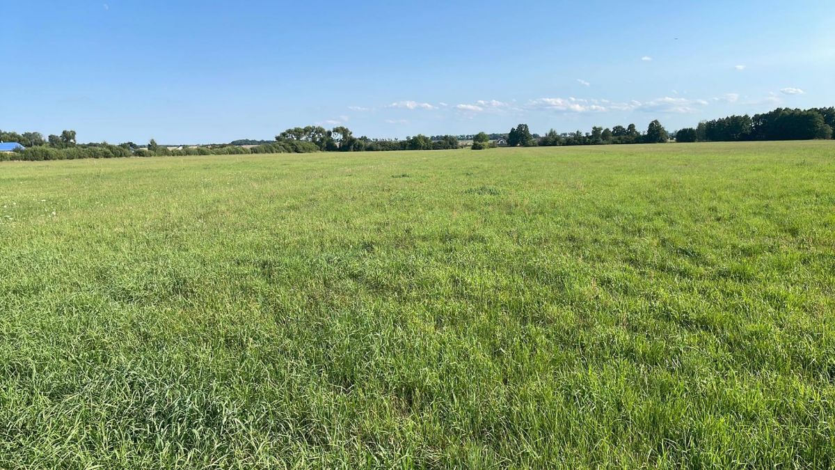 Na sprzedaż działka budowlana - Studzieniec -
wielkopolskie Zdjęcie nr 1