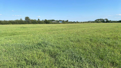 Na sprzedaż działka budowlana - Studzieniec -
wielkopolskie Zdjęcie nr 5
