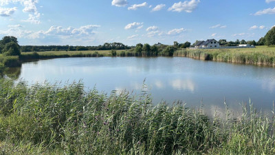Na sprzedaż działka budowlana - Studzieniec -
wielkopolskie Zdjęcie nr 8