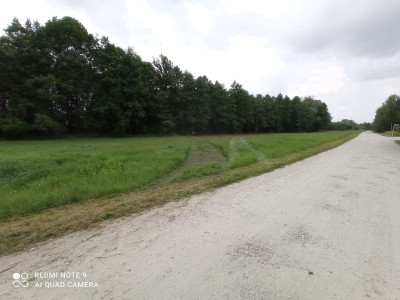 Na sprzedaż działka budowlana - Rybno Wielkie -
wielkopolskie Zdjęcie nr 12