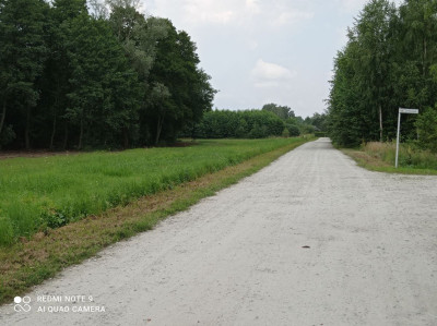 Na sprzedaż działka budowlana - Rybno Wielkie -
wielkopolskie Zdjęcie nr 14