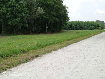 Na sprzedaż działka budowlana - Rybno Wielkie -
wielkopolskie Zdjęcie nr 15