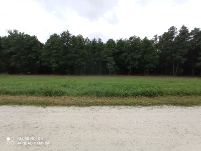 Na sprzedaż działka budowlana - Rybno Wielkie -
wielkopolskie Zdjęcie nr 5