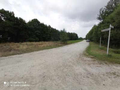Na sprzedaż działka budowlana - Rybno Wielkie -
wielkopolskie Zdjęcie nr 8
