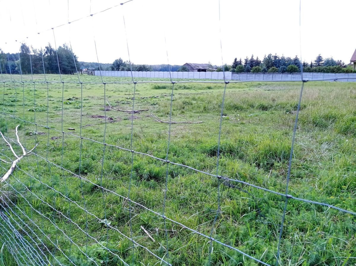 Na sprzedaż działka budowlana - Bolesławiec -
wielkopolskie Zdjęcie nr 1