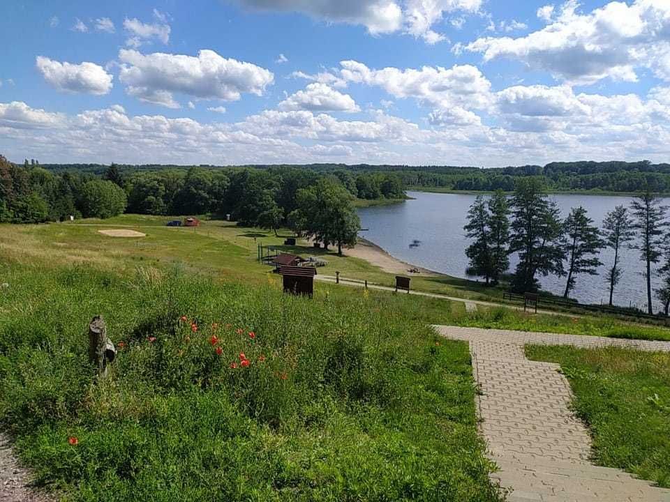 Na sprzedaż działka budowlana - Potrzanowo -
wielkopolskie Zdjęcie nr 1