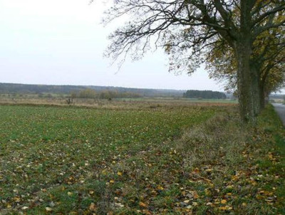Na sprzedaż działka rolna - Wilkowice -
zachodniopomorskie Zdjęcie nr 5