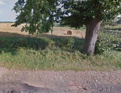 Na sprzedaż działka rolna - Pustkowo -
zachodniopomorskie Zdjęcie nr 5