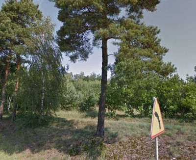Na sprzedaż działka przemysłowa - Mrowino -
wielkopolskie Zdjęcie nr 8