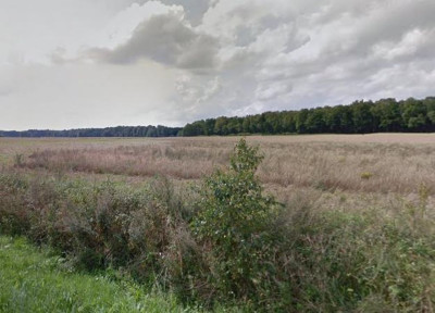 Na sprzedaż działka rolna - Ługowina -
zachodniopomorskie Zdjęcie nr 8