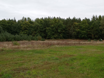 Na sprzedaż działka budowlana - Koźle -
wielkopolskie