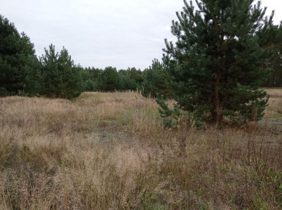 Na sprzedaż działka budowlana - Koźle -
wielkopolskie