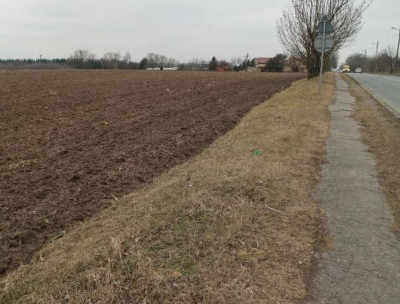Na sprzedaż działka budowlana - Poznań -
wielkopolskie Zdjęcie nr 8