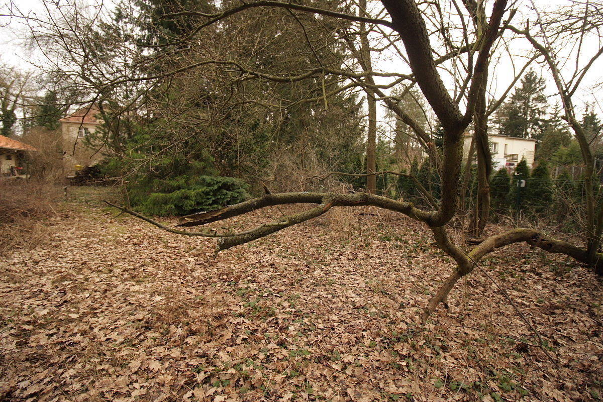 Na sprzedaż działka budowlana - Puszczykowo -
wielkopolskie Zdjęcie nr 1