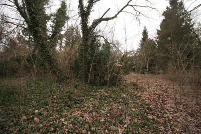 Na sprzedaż działka budowlana - Puszczykowo -
wielkopolskie Zdjęcie nr 5