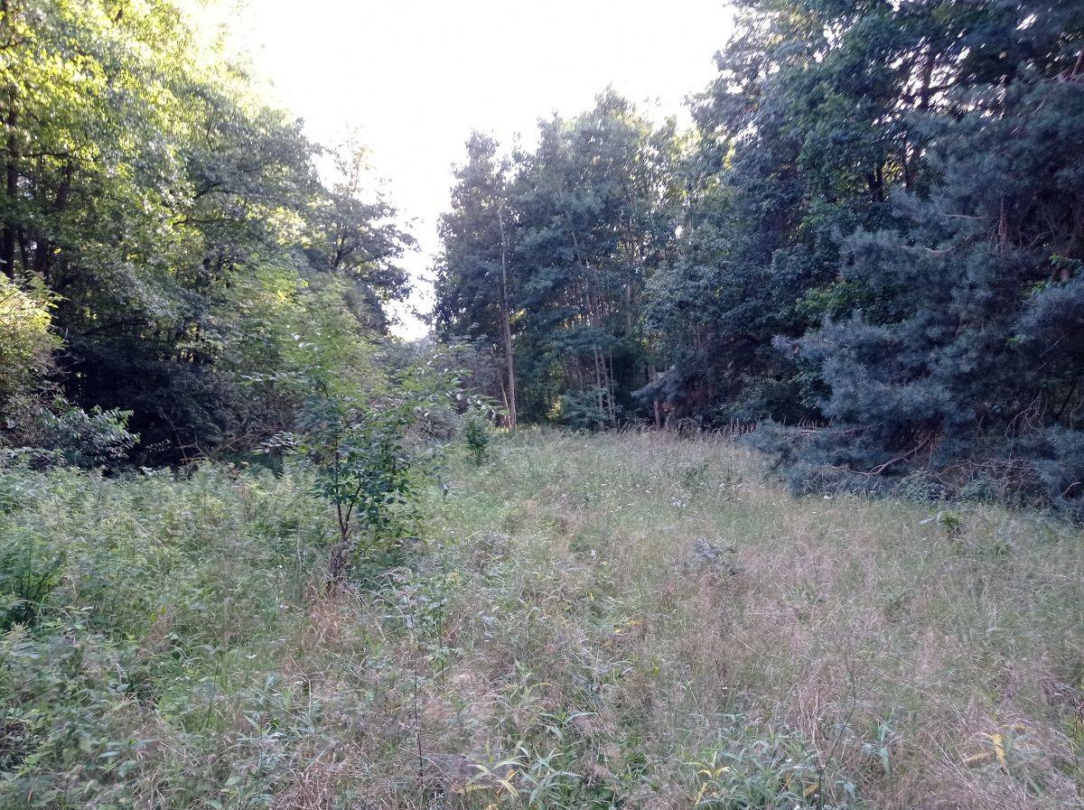 Na sprzedaż działka rolna - Kicin -
wielkopolskie Zdjęcie nr 1