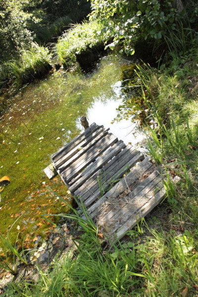 Na sprzedaż działka rekreacyjna - Lubowo -
wielkopolskie Zdjęcie nr 9