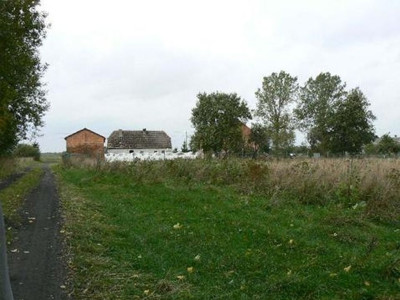 Na sprzedaż działka rolna - Karlino -
zachodniopomorskie Zdjęcie nr 8